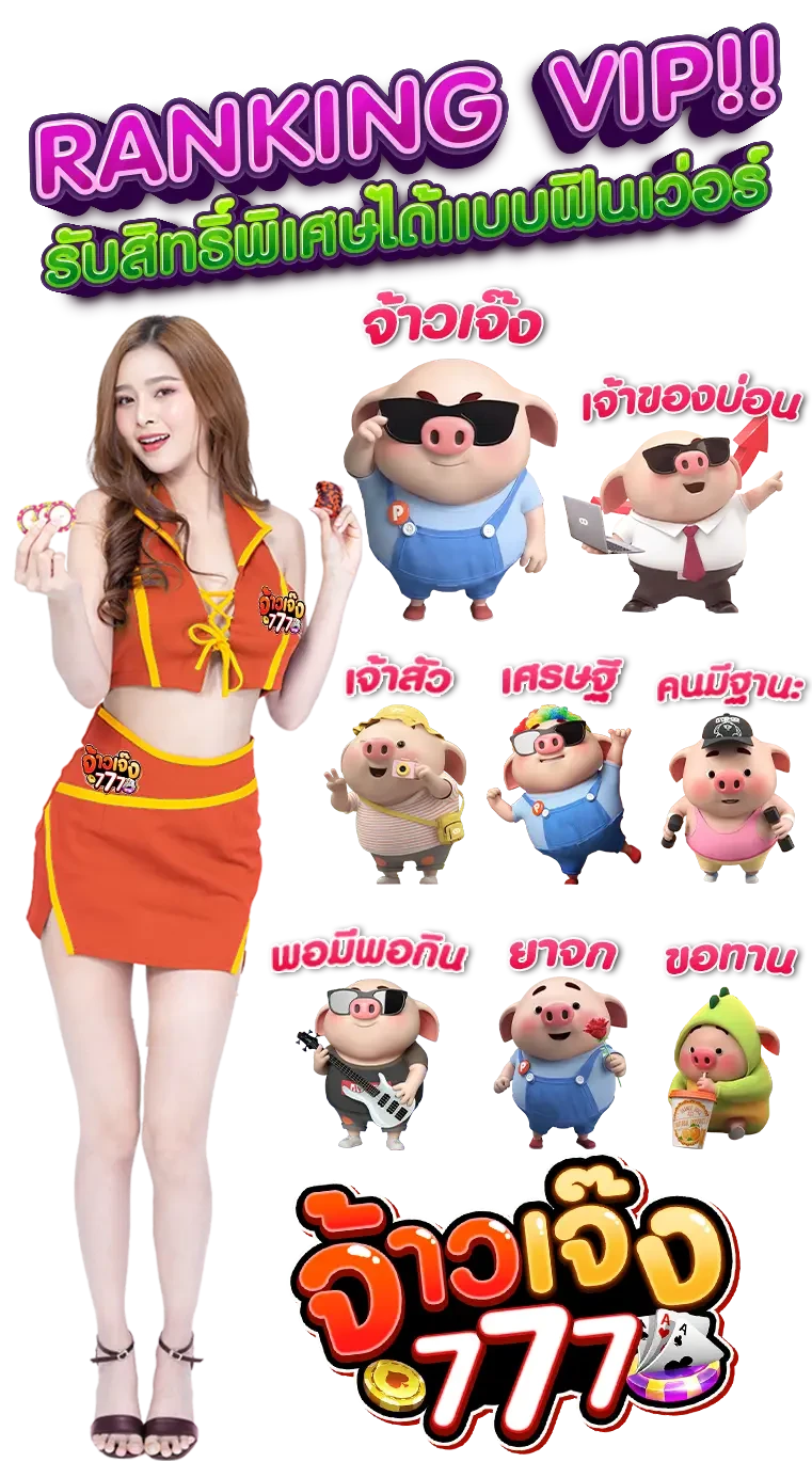 ฟีเจอร์เด่น